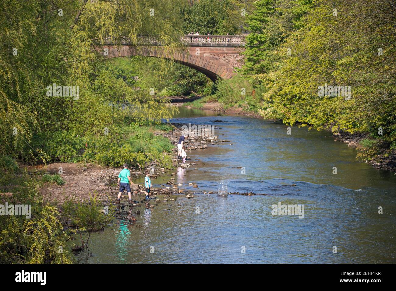 Glasgow, Regno Unito. 25 Aprile 2020. Nella foto: Le persone hanno visto giocare nell'acqua del fiume Kelvin che si snoda attraverso il bordo del Kelvingrove Park. Scene del primo fine settimana del lungo periodo di chiusura dal Kelvingrove Park nel West End di Glasgow durante un sabato molto caldo e soleggiato. Credit: Colin Fisher/Alamy Live News Foto Stock