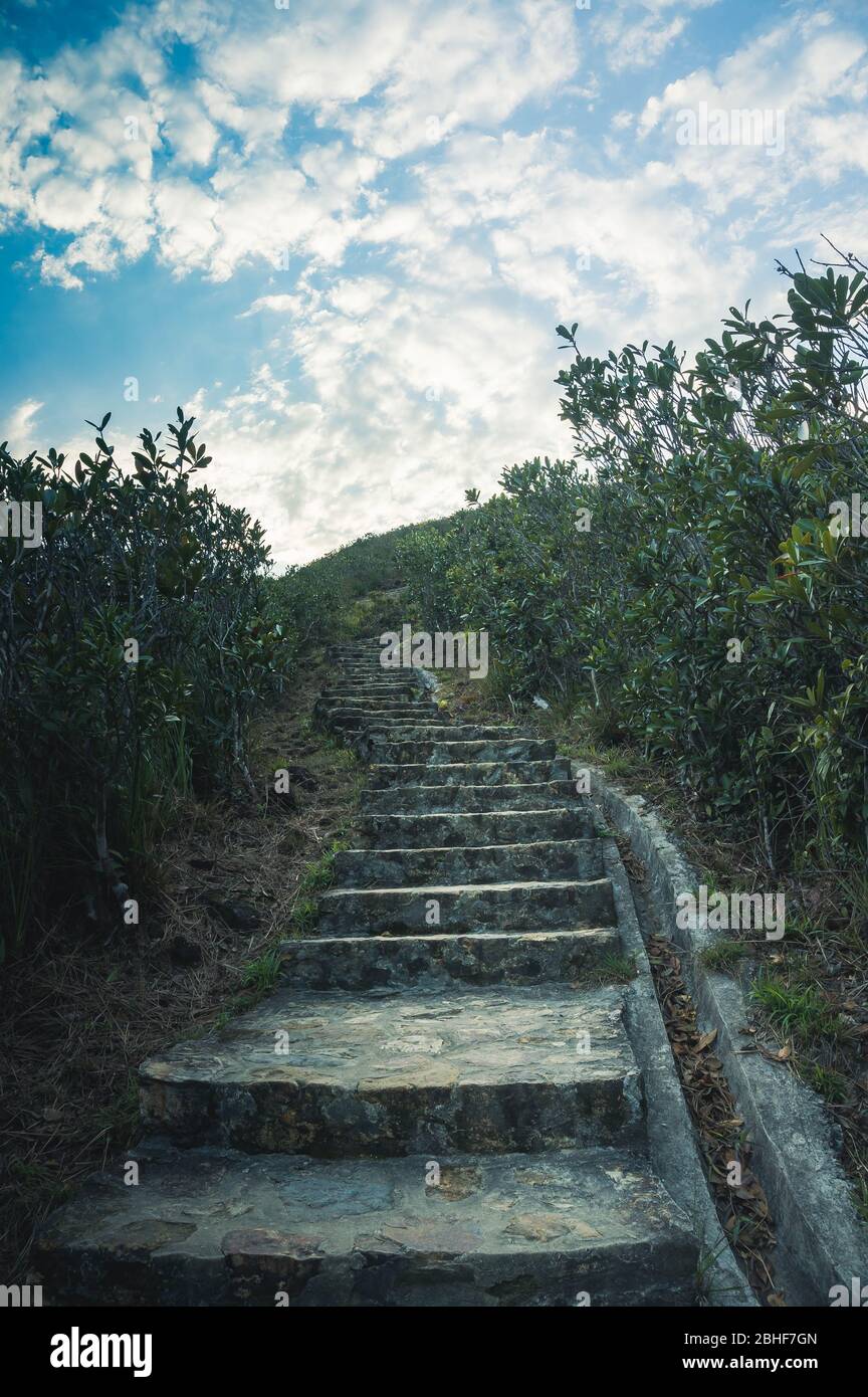 Scale di Twin Peak Hong Kong. Sentiero escursionistico a Hong Kong. Scalate le scale durante l'ora blu. Superare la sfida. Cercate di ottenere il successo. Foto Stock