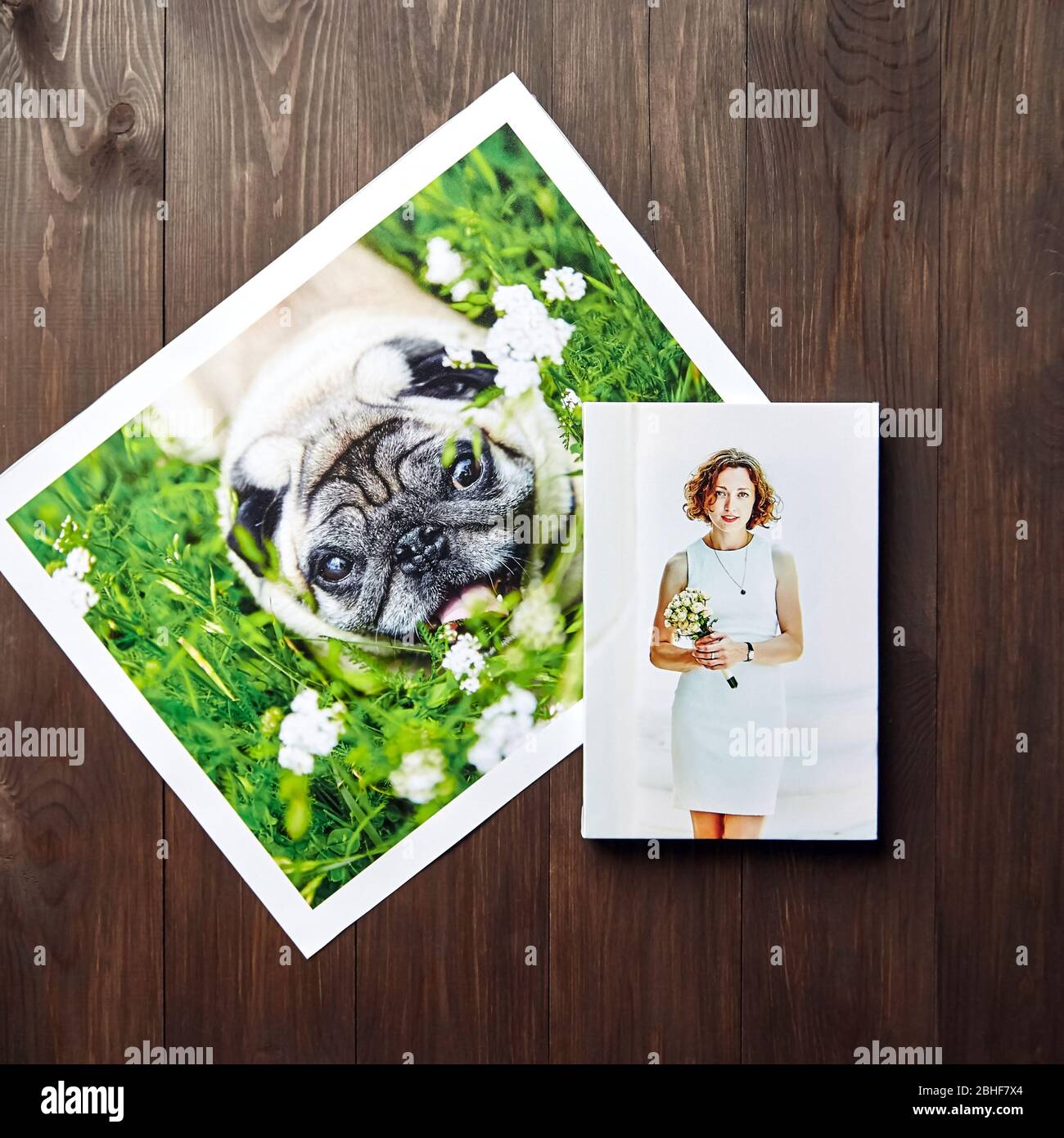 Stampe di quadri fotografici. Esempio di fotografia allungata di donna con avvolgi galleria. Foto stampata di un cane sdraiato su un tavolo. Vista dall'alto Foto Stock