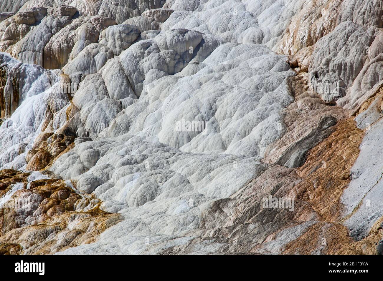 La colorata formazione di calcare termale alle sorgenti termali di Mammoth nel Parco Nazionale di Yellowstone Foto Stock