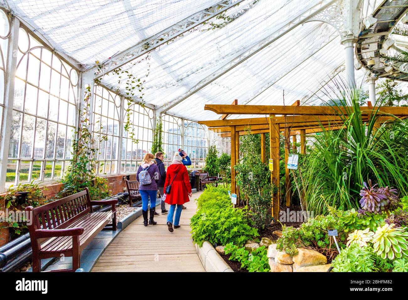 Visitatori all'interno dei Winter Gardens al People's Palace, che ospita piante esotiche, Glasgow, Scozia, Regno Unito Foto Stock