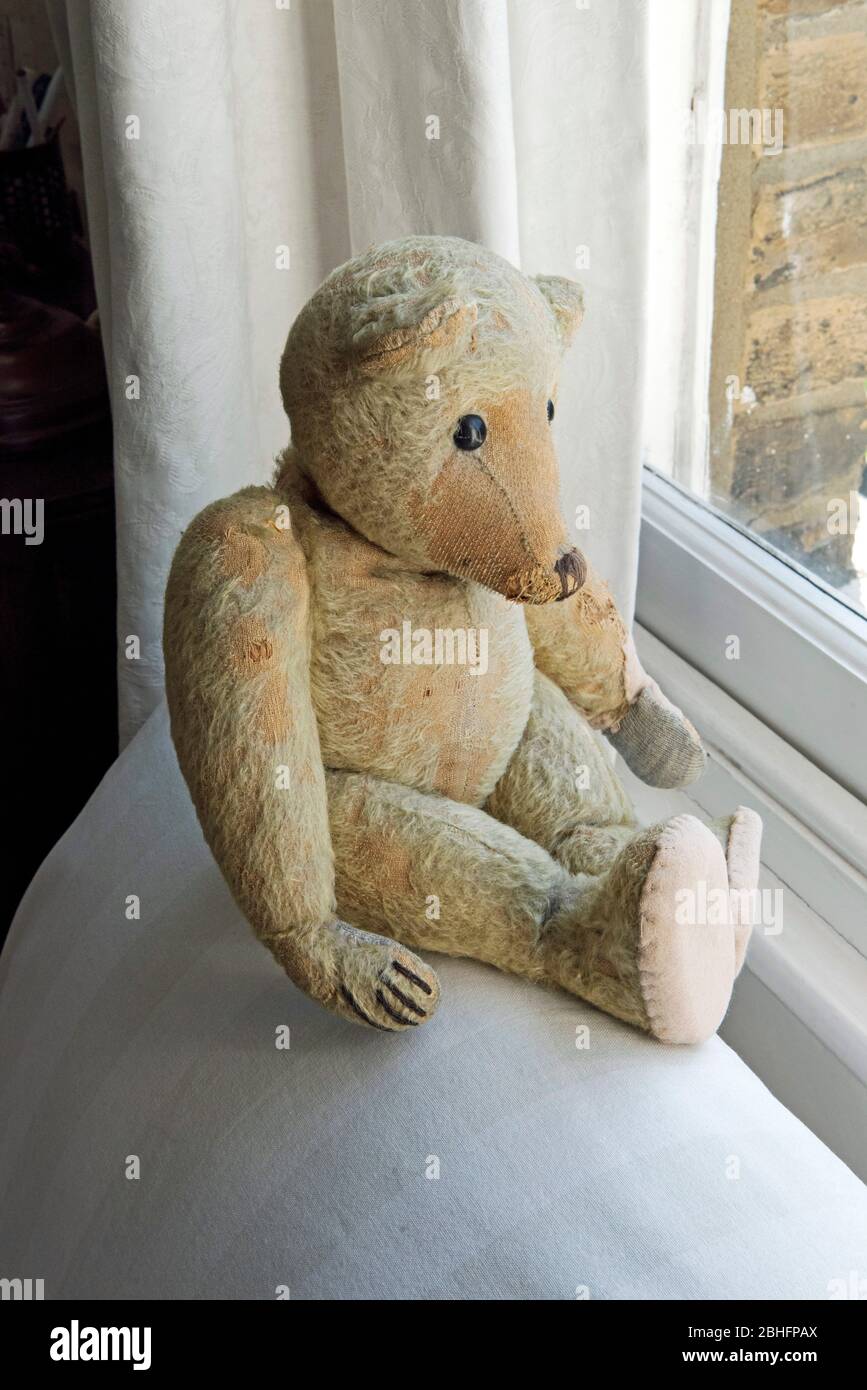 Vecchio orso vulnerabile orso di teddy di età superiore a 70 anni che  guarda fuori dalla finestra mentre auto isolando e partecipando alla caccia  dell'orso durante Coronavirus Corvid Foto stock - Alamy