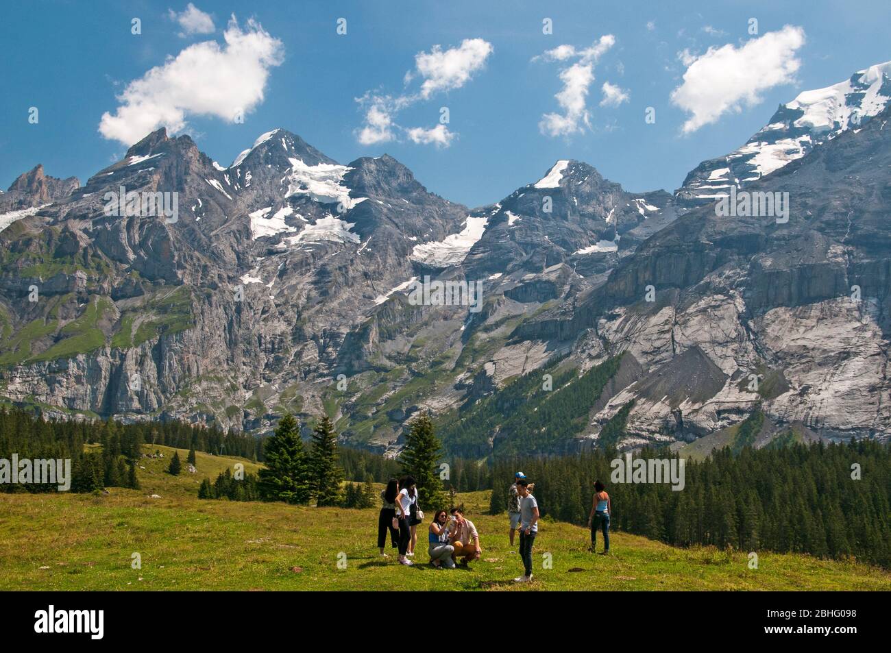 Un prato alpino sopra Kandersteg nell'Oberland bernese, Svizzera Foto Stock