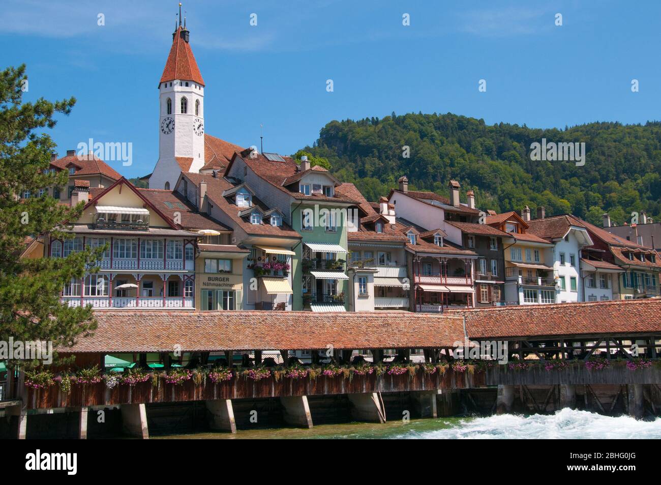 Lungo il fiume Aare a Thun, Canton Berna, Svizzera Foto Stock