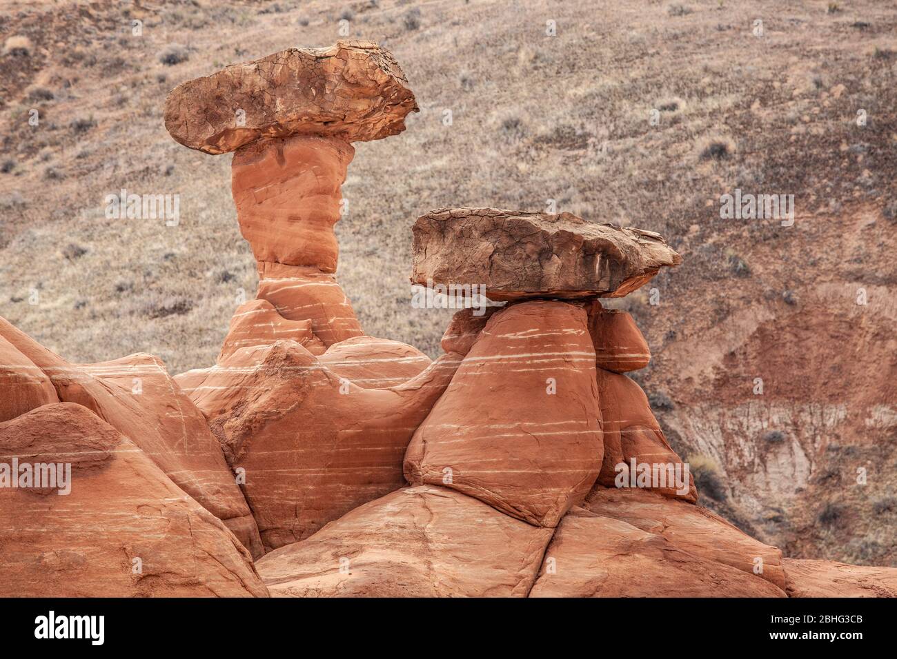 UT00508-00...UTAH - i Toadsgools, un'area di formazione rocciosa lungo l'autostrada 89 gestita dal BLM. Foto Stock