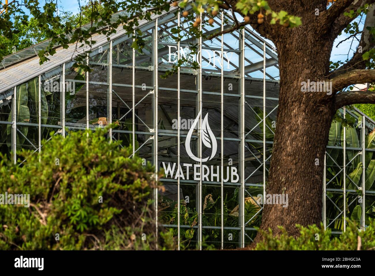 WaterHub è un sistema di riciclaggio dell'acqua in loco presso l'Emory University che utilizza processi di ingegneria ecologica per pulire le acque reflue per usi non potabili. Foto Stock