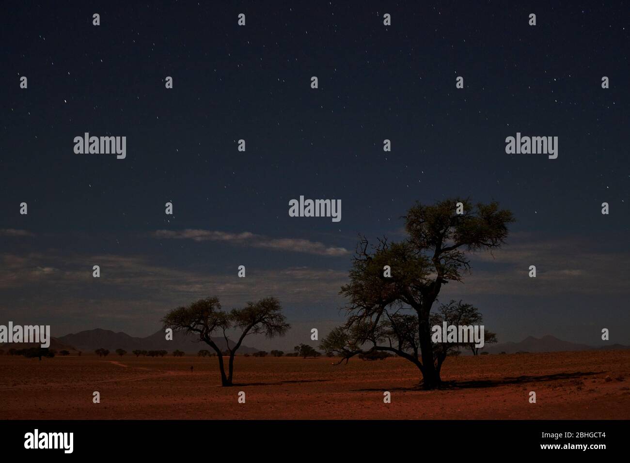 Cielo stellato al campeggio selvaggio a NamibRand Family Hideout, NamibRand Nature Reserve, NamibRand Sud Namibia, Africa Foto Stock