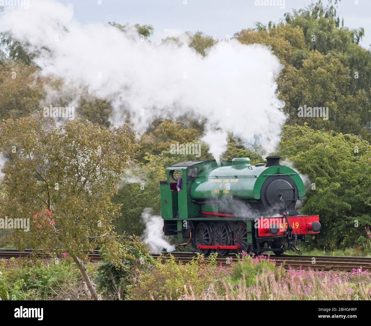 Locomotiva a vapore saddletank n.19 sulla Bo'ness e Kinneil Railway, Scozia, Regno Unito. Foto Stock
