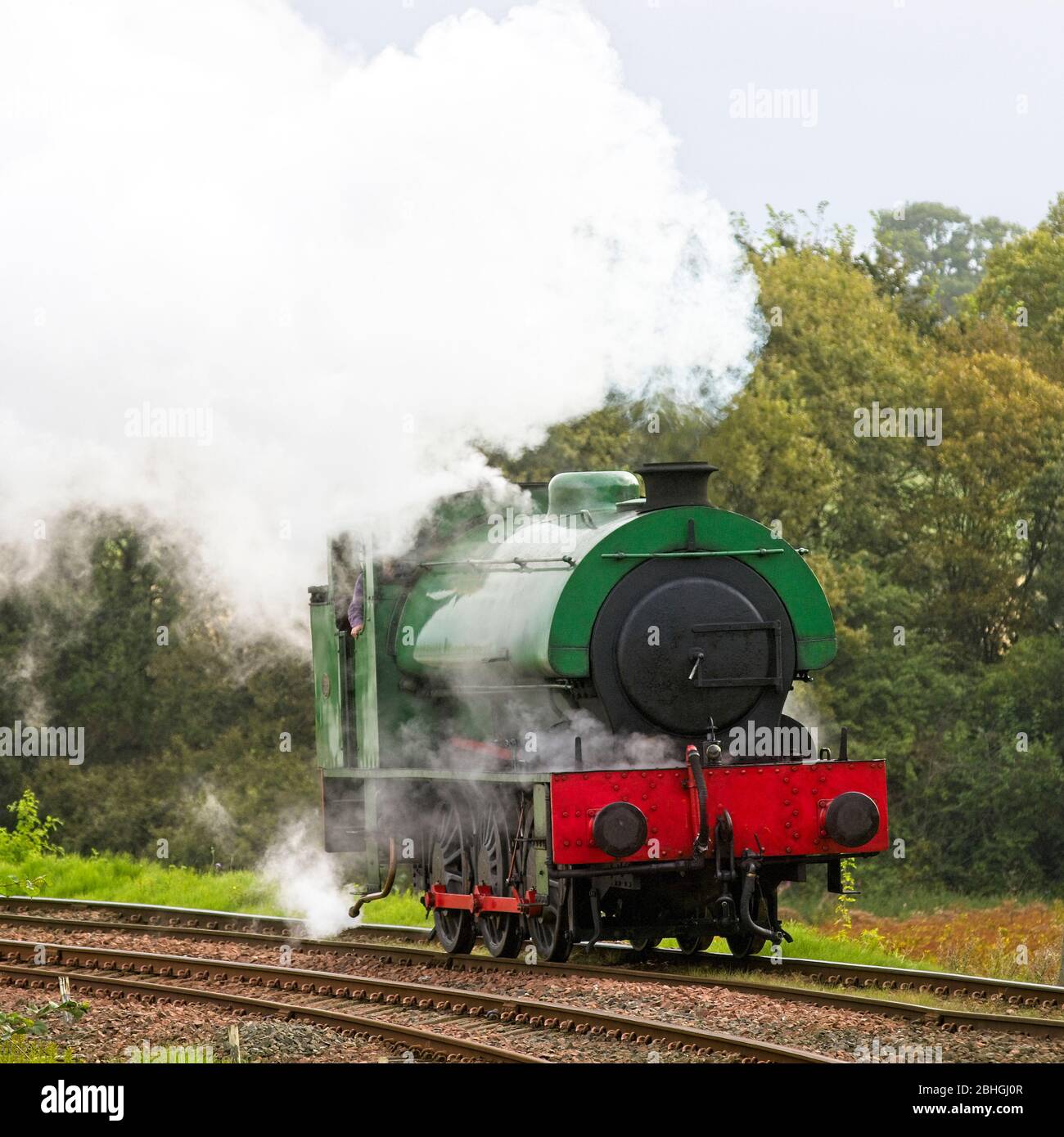 Locomotiva a vapore saddletank che corre su una ferrovia storica. Foto Stock