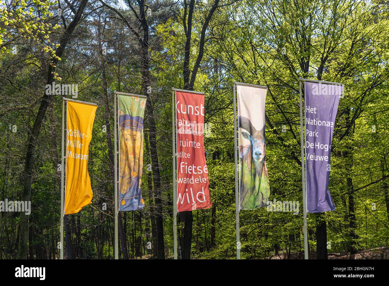 Otterlo, Paesi Bassi - 22 aprile 2020: Bandiere all'ingresso del museo Kroller-Muller al Parco Nazionale Hoge Veluwe nei Paesi Bassi Foto Stock