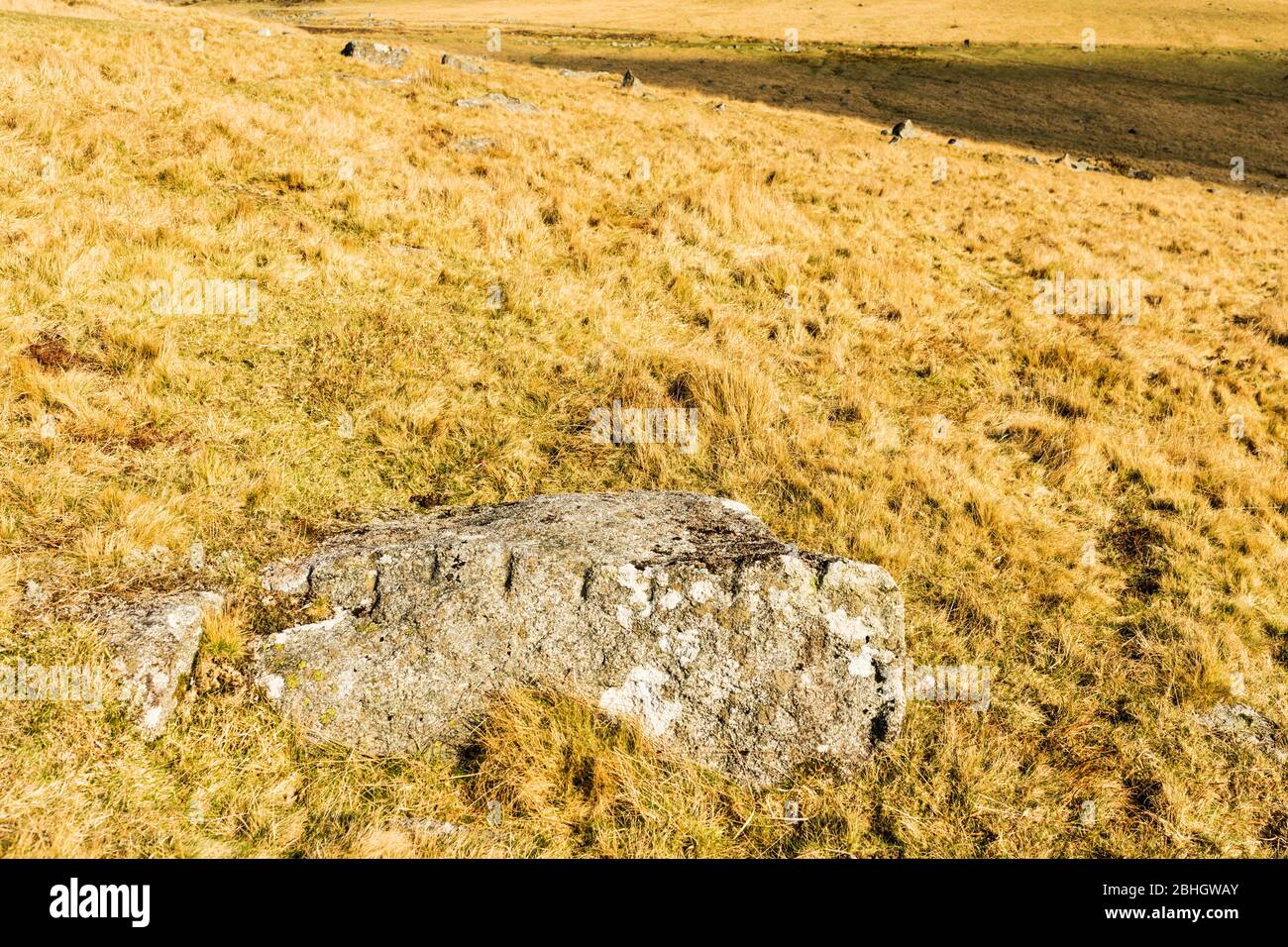Pezzo di granito Dartmoor quarried, che mostra segni dal metodo 'piuma e tara' di sdoppiamento della pietra. Dartmoor National Park, Devon, Inghilterra, Regno Unito. Foto Stock