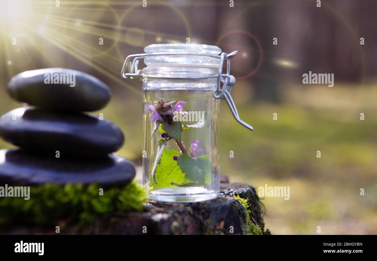 Pietre di equilibrio impilate alla piramide nello sfondo verde morbido. Trattamenti di bellezza e benessere di base. Foto Stock