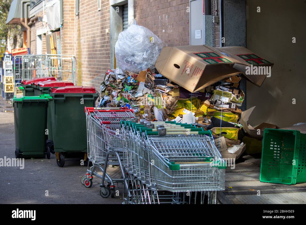 Cartone australiano del supermercato e detriti nella baia di carico imballata in su per lo smaltimento, Sydney, Australia Foto Stock
