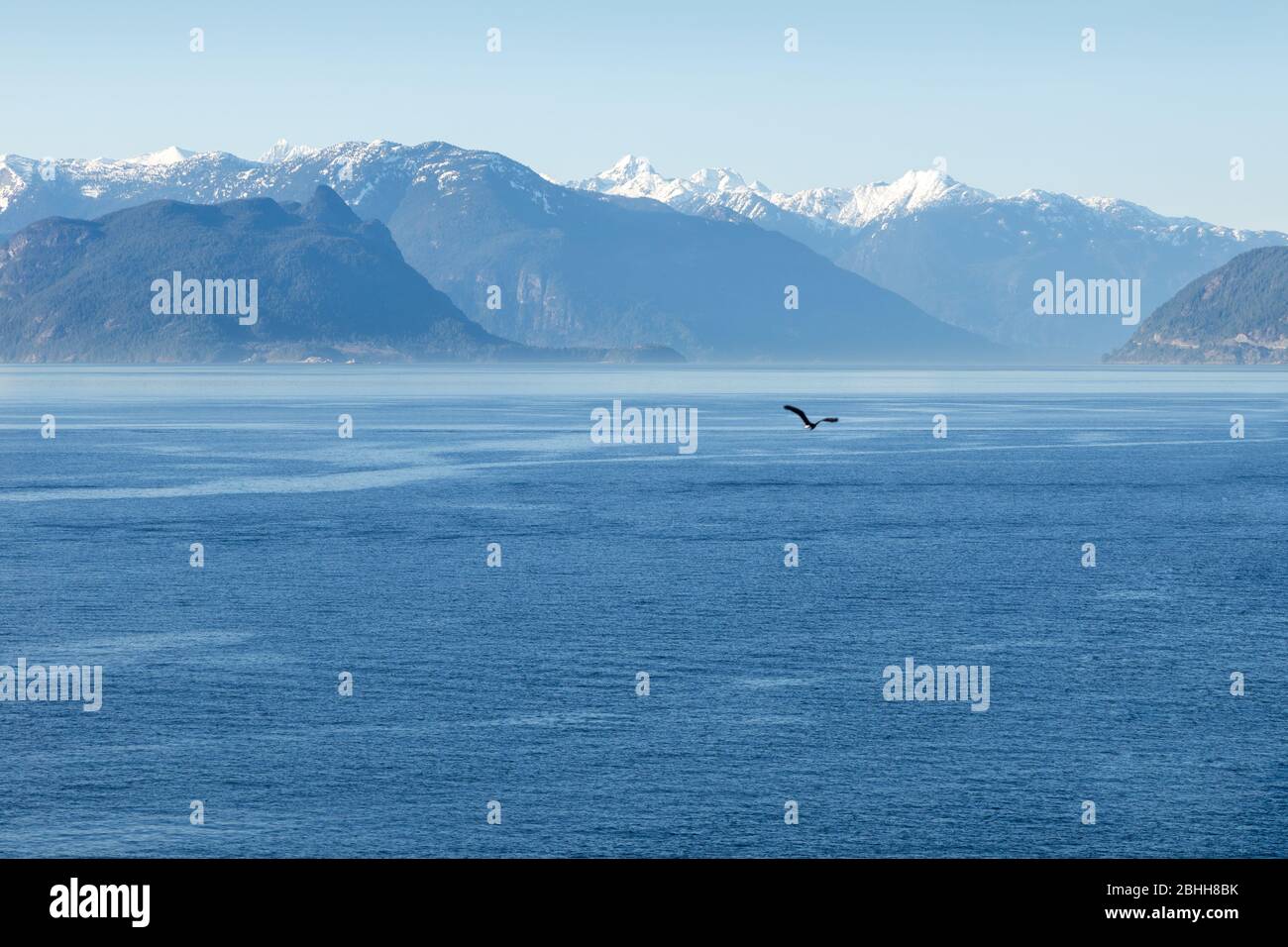 Una vista mozzafiato delle montagne e dell'oceano di Howe Sound con un'aquila che vola in lontananza. Foto Stock