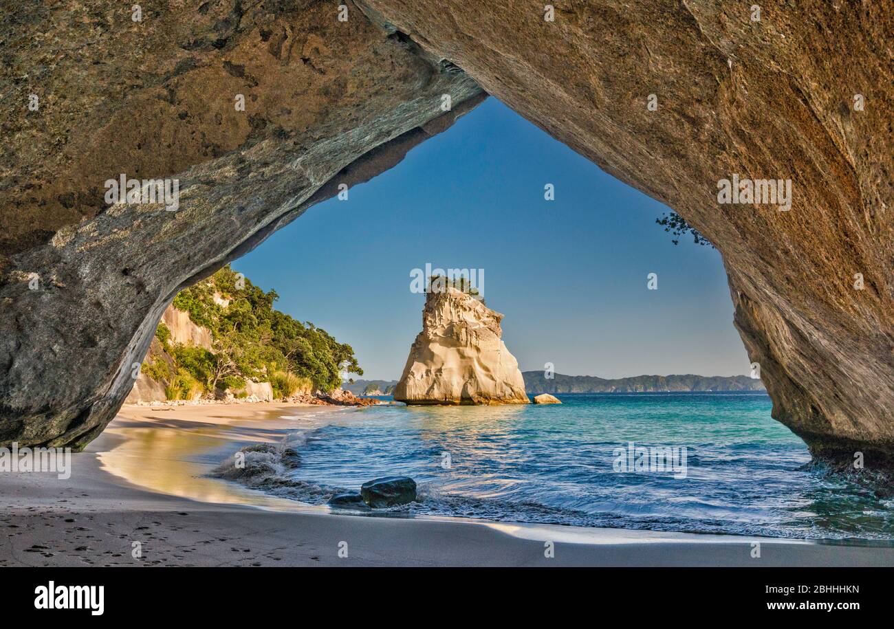 Te Hoho Rock, mare stack visto da arco di roccia a Cathedral Cove vicino alla città di Hahei, Penisola di Coromandel, Waikato Regione, Isola del Nord, Nuova Zelanda Foto Stock