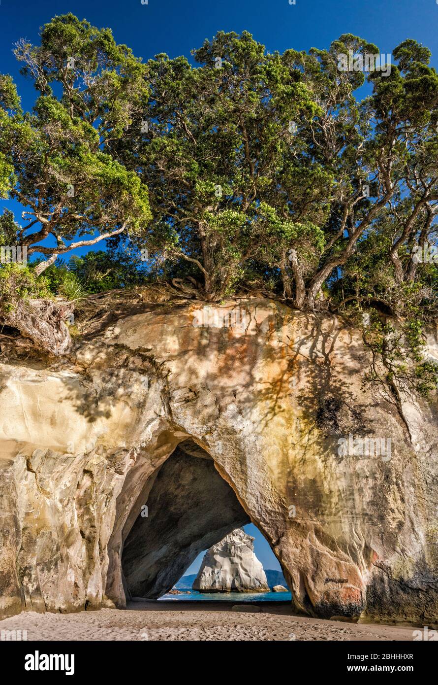Arco di roccia a Cathedral Cove vicino alla città di Hahei, Penisola di Coromandel, Regione di Waikato, Isola del Nord, Nuova Zelanda Foto Stock