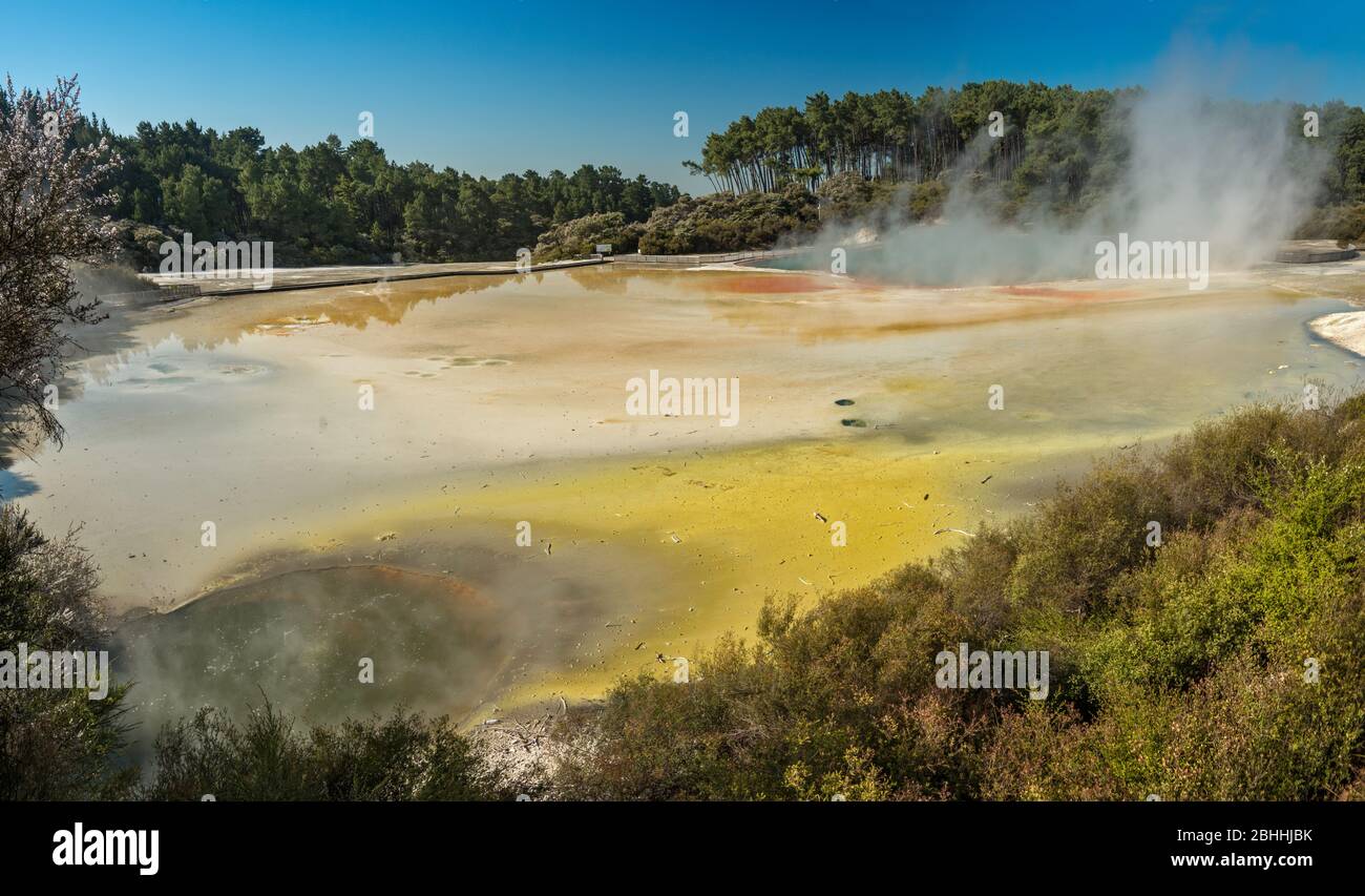 Piscine centrali di Wai-o-Tapu Thermal Wonderland, Taupo Volcanic zone, Waikato Region, North Island, Nuova Zelanda Foto Stock