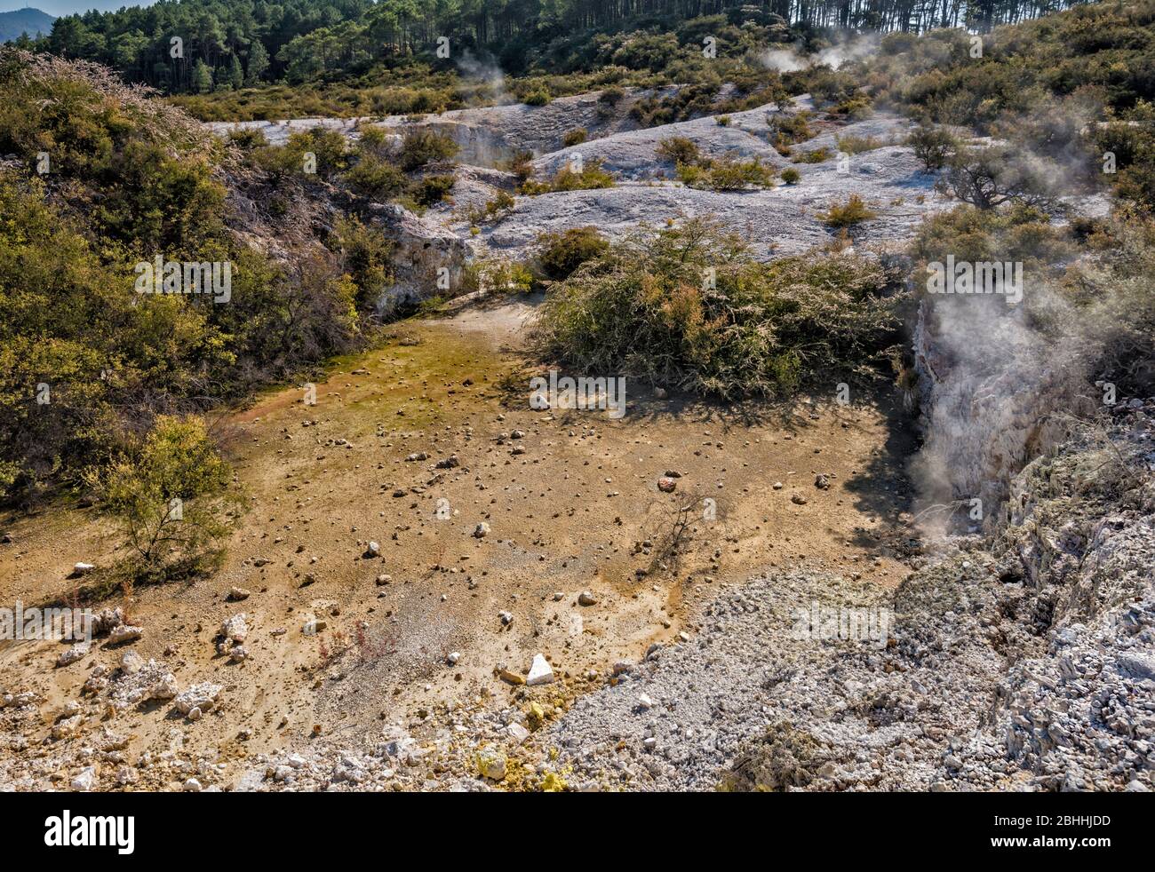 Sfiato del vapore al Wai-o-Tapu Thermal Wonderland, Taupo Volcanic zone, Waikato Region, North Island, Nuova Zelanda Foto Stock