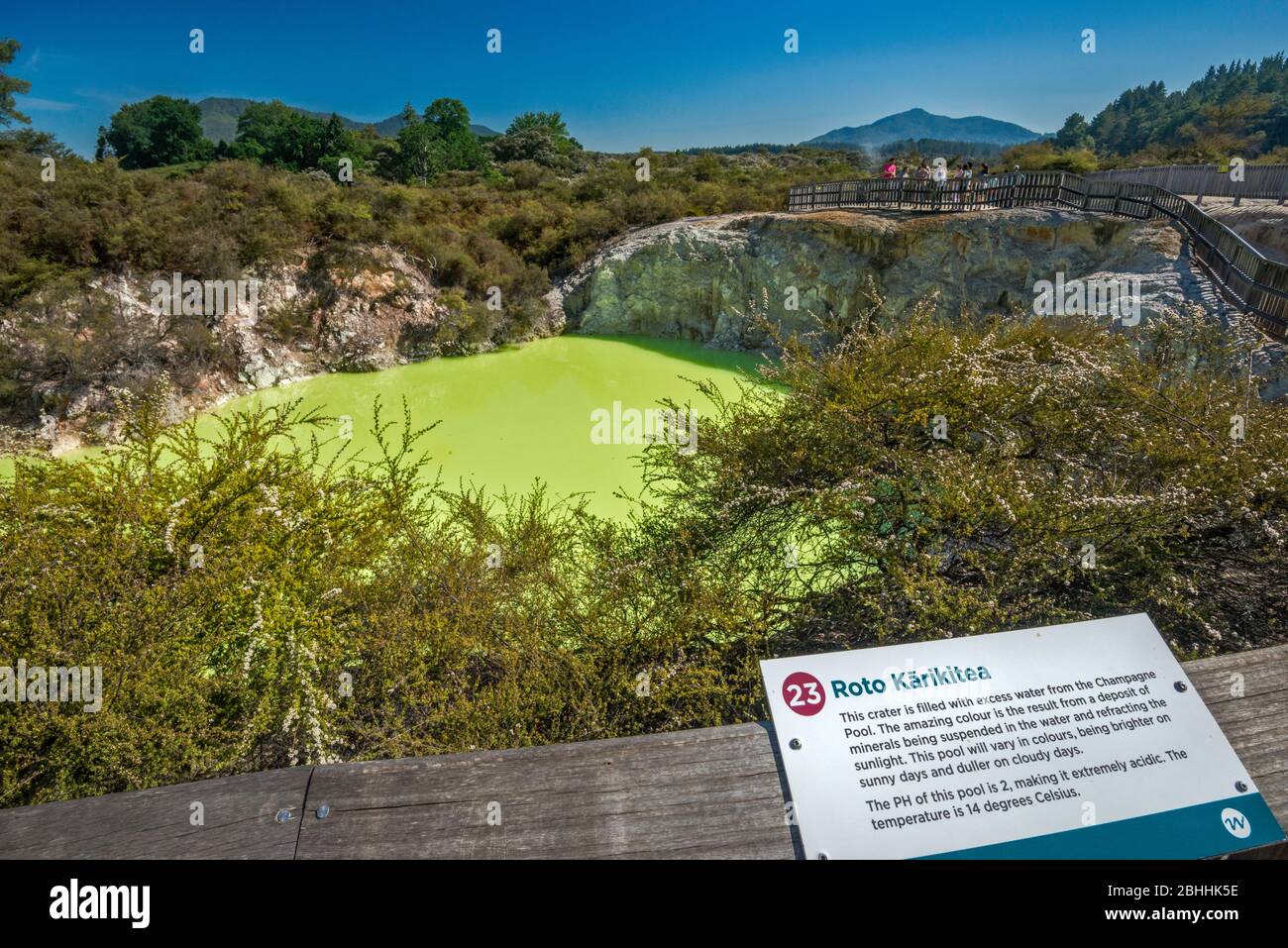 Roto Karikitea, cratere, acqua dalla piscina Champagne, Wai-o-Tapu Thermal Wonderland, Taupo Volcanic zone, Waikato Region, North Island, Nuova Zelanda Foto Stock