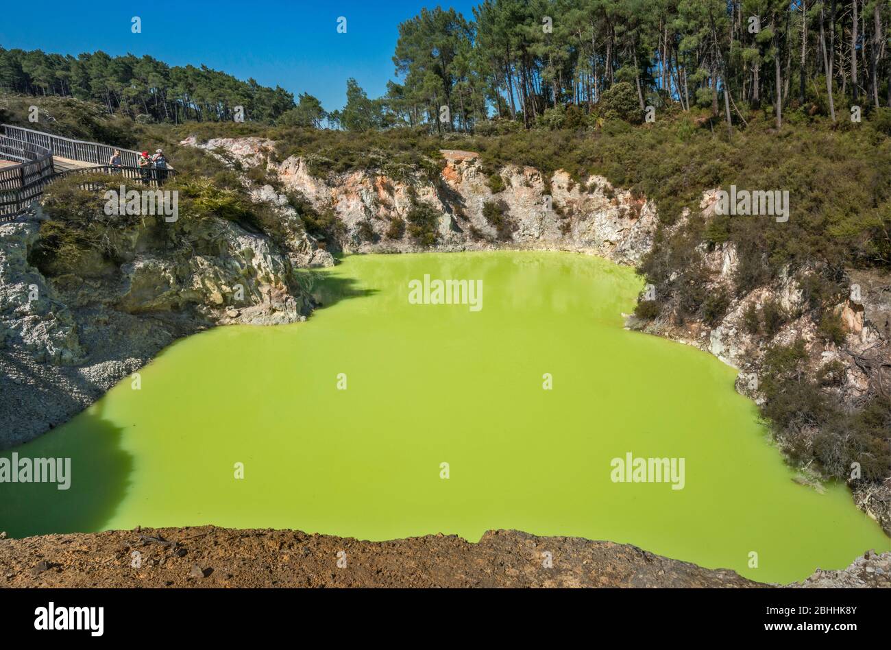 Roto Karikitea, cratere, acqua dalla piscina Champagne, Wai-o-Tapu Thermal Wonderland, Taupo Volcanic zone, Waikato Region, North Island, Nuova Zelanda Foto Stock