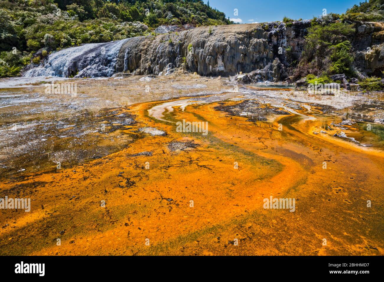 Tappetini microbici, noti anche come tappetini a bolle, presso te Kapua, Golden Fleece Terrace, Orakei Korako Thermal Park, Taupo Volcanic zone, North Island, Nuova Zelanda Foto Stock