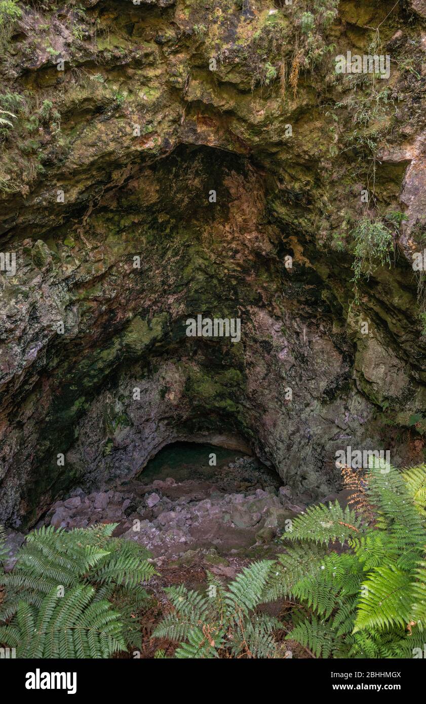 Ruatapu Cave, grotta geotermica, Waiwhakaata (piscina degli specchi) in fondo, al Parco Termale di Orakei Korako, zona vulcanica di Taupo, Isola del Nord, Nuova Zelanda Foto Stock