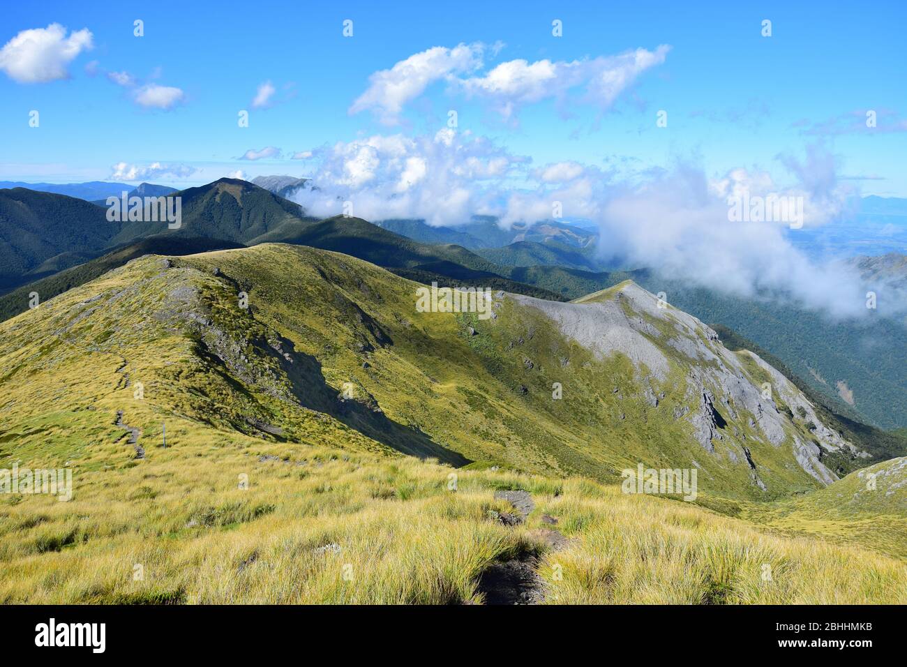 Bellissimo paesaggio di montagna. Mount Arthur Range, Parco Nazionale di Kahurangi, Nuova Zelanda, Isola del Sud. Foto Stock