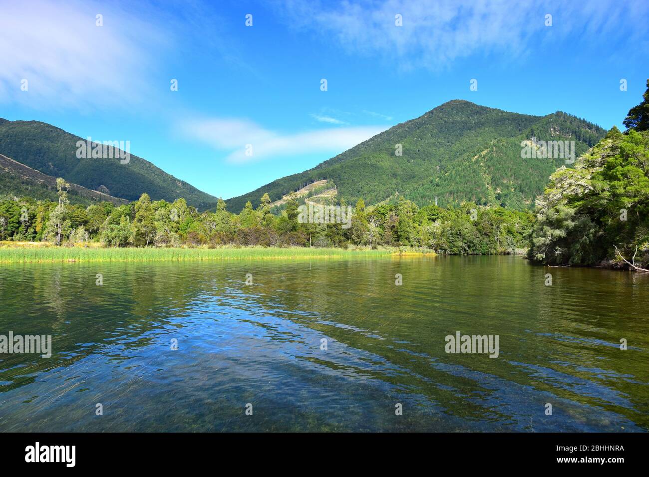 Bellissimo lago Rotoroa con montagne sullo sfondo. Nelson Lakes National Park, Tasman, Nuova Zelanda, South Island. Foto Stock
