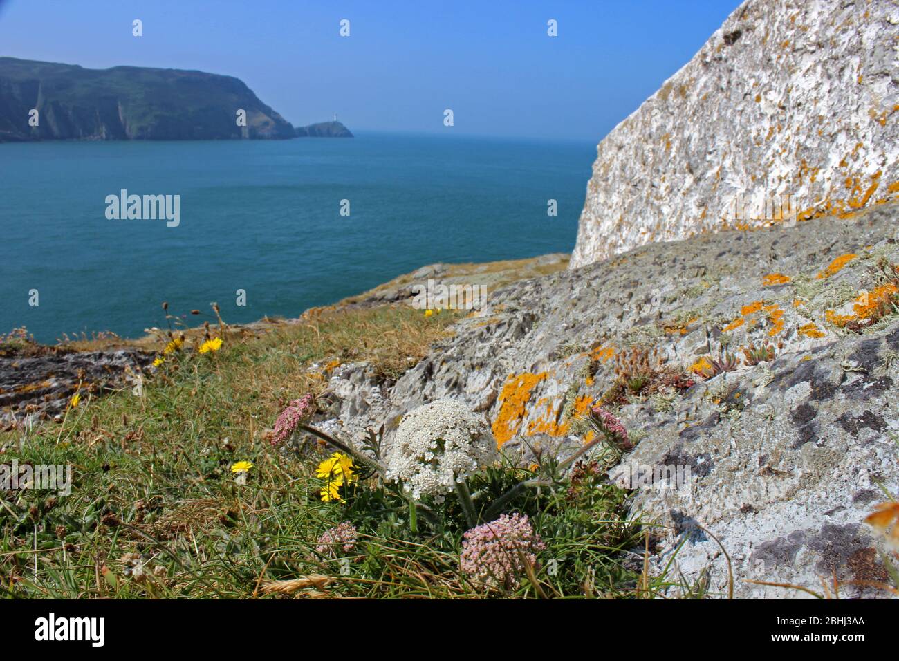Vista da North Stack headland verso il faro di Anglesey, Galles Foto Stock