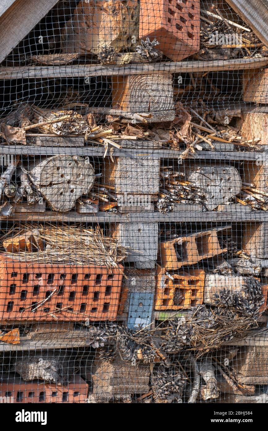 Nido casa manmade con molti buchi per insetti selvatici, farfalle, api selvatiche, insetti, casa di rifugio fatto da materiale riciclato Foto Stock