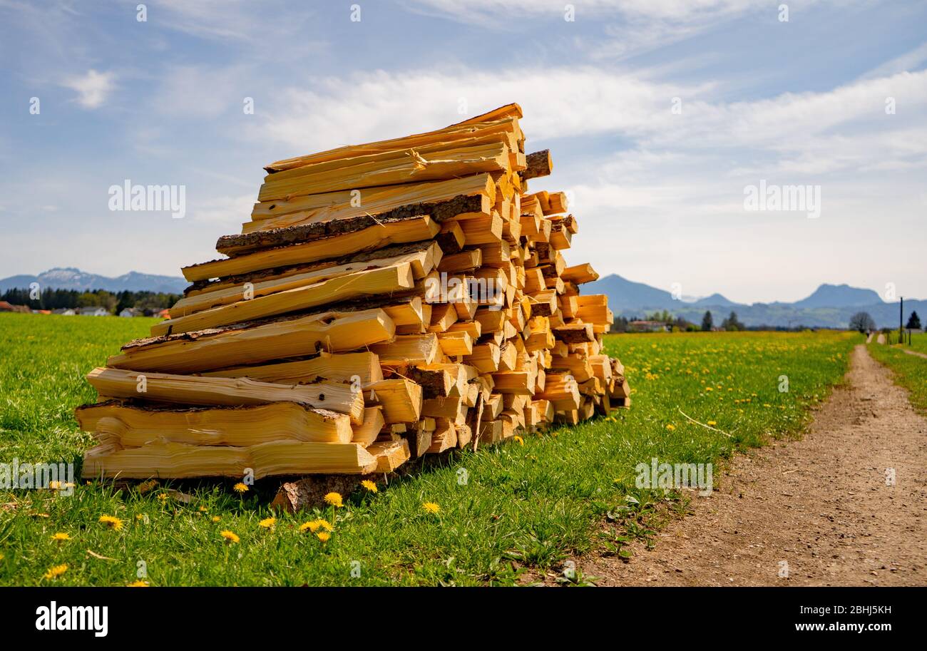 Sentiero nel bosco con erba gialla lunga immagini e fotografie stock ad ...