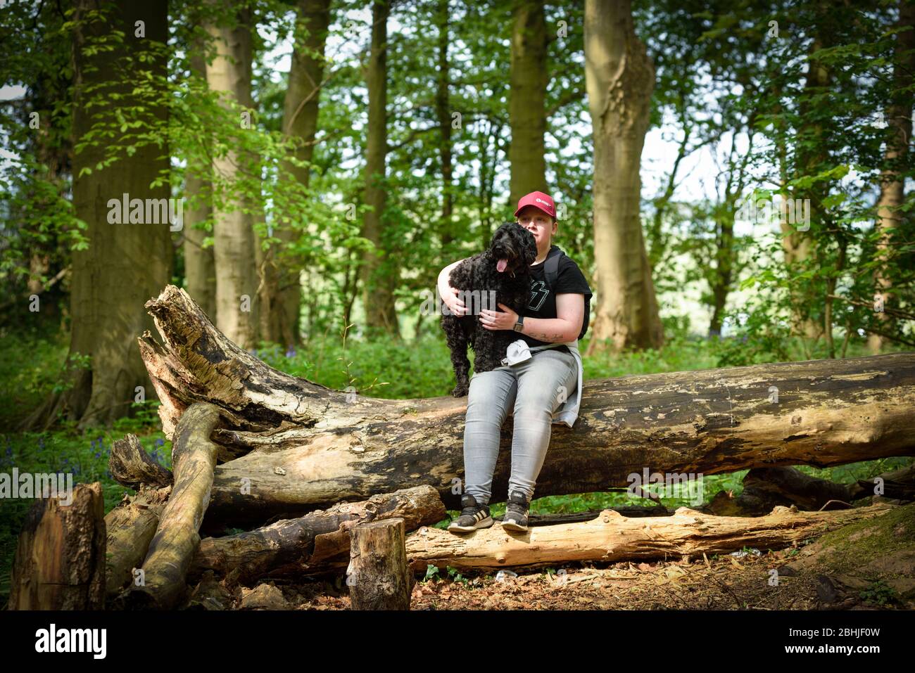 Passeggio per cani con cane Cockapoo durante gli esercizi quotidiani Foto Stock
