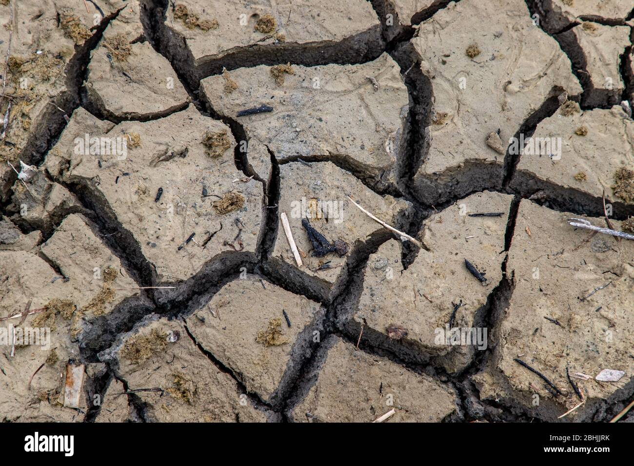 Una terra sterile, frantumata per sfondo e testurizzata, siccità dal  riscaldamento globale. Concetto di ecologia Foto stock - Alamy
