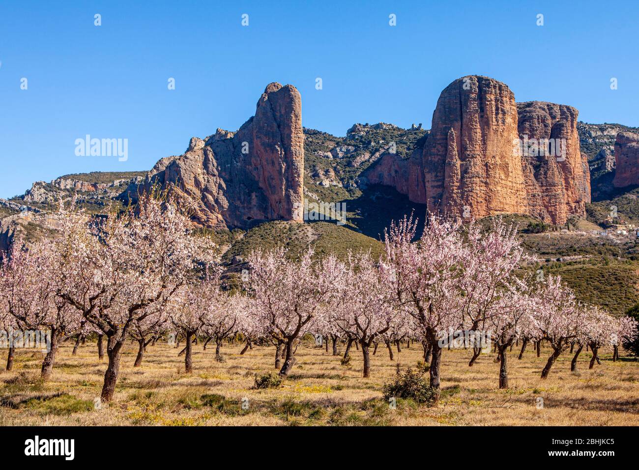 Mallos de Riglos al tramonto, Riglos, La Hoya, Huesca, Spagna Foto Stock