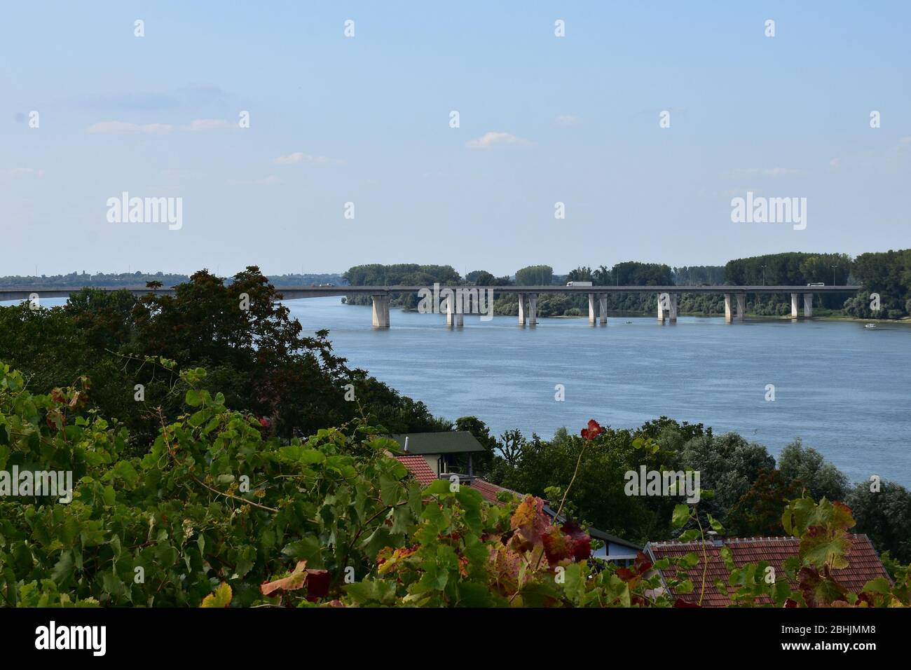 La riva verde del Danubio con diversi cottage e un ponte sul fiume Foto Stock
