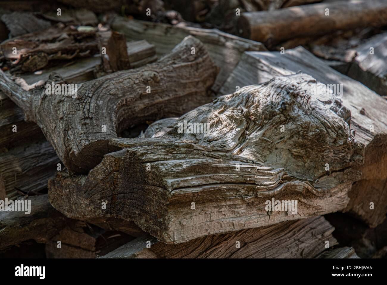 Superficie di legno annodata di legno fessurato irregolare alla luce del sole. Struttura di legno ruvida di struttura fibrosa. Sfondo marrone di legno duro con spazio di copia Foto Stock