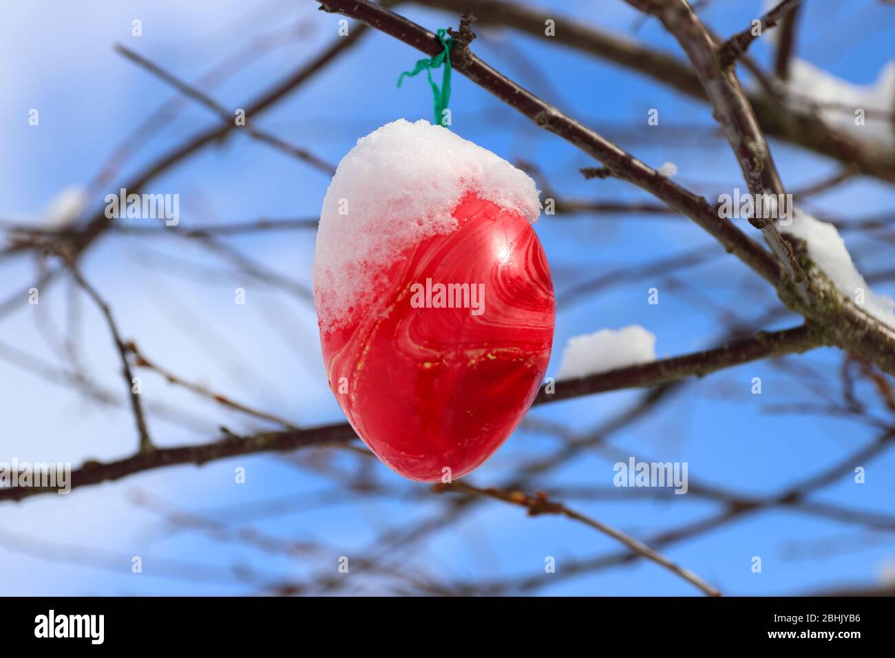 Un uovo di Pasqua rosso colorato coperto di neve fresca pende come decorazione su un albero Foto Stock