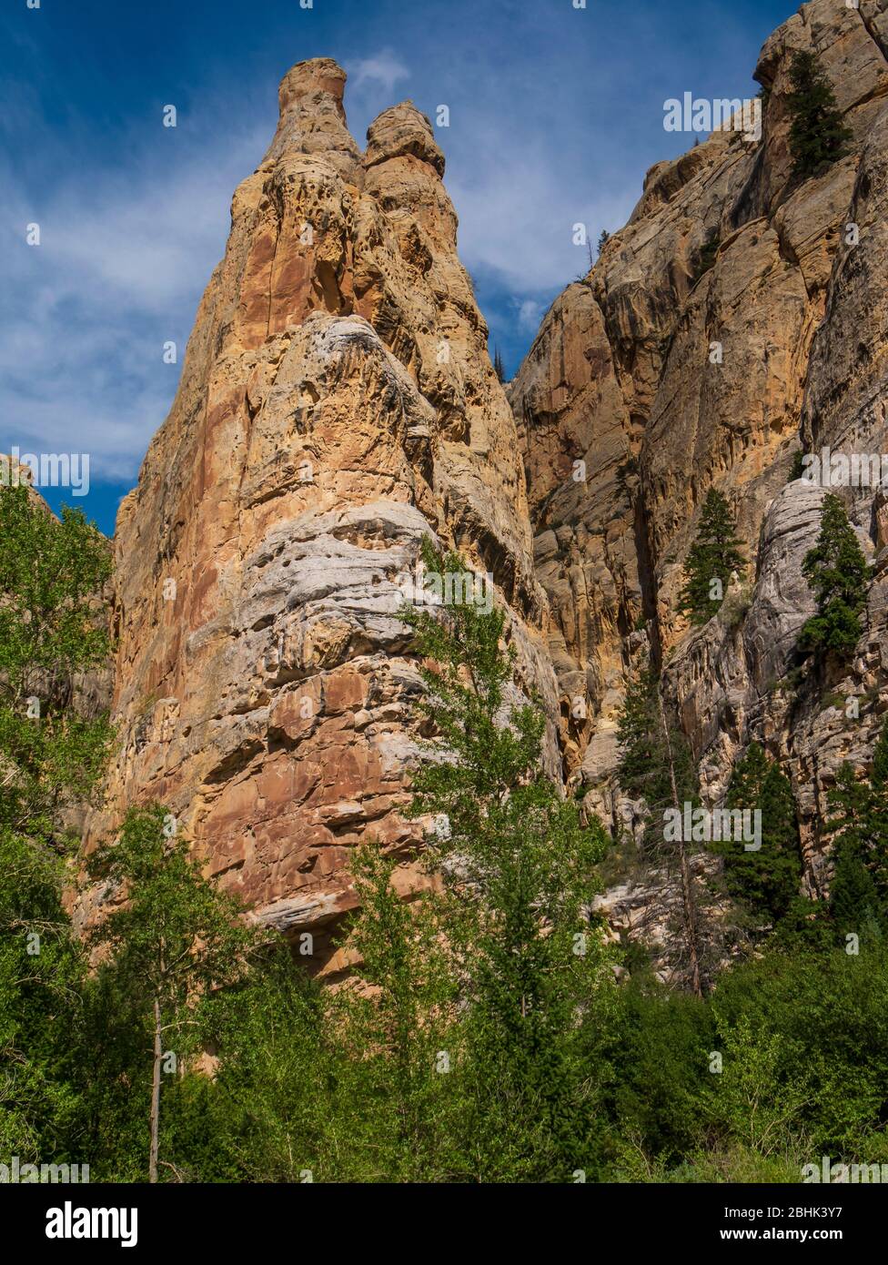 Sheep Creek Canyon Geological Area, Ashley National Forest vicino a Manila, Utah. Foto Stock