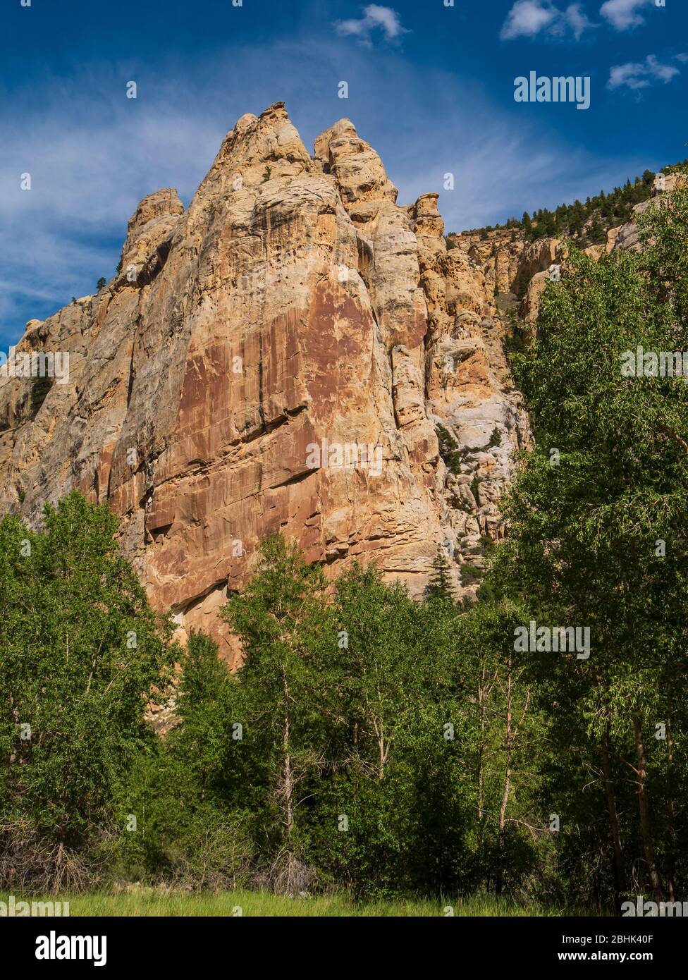 Sheep Creek Canyon Geological Area, Ashley National Forest vicino a Manila, Utah. Foto Stock