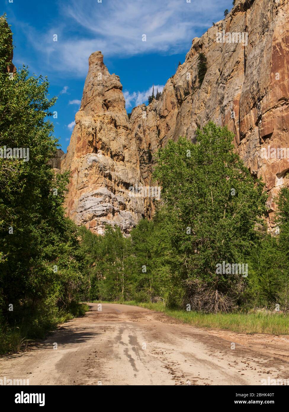 Tower Rock, Sheep Creek Canyon Geological Area, Ashley National Forest vicino a Manila, Utah. Foto Stock