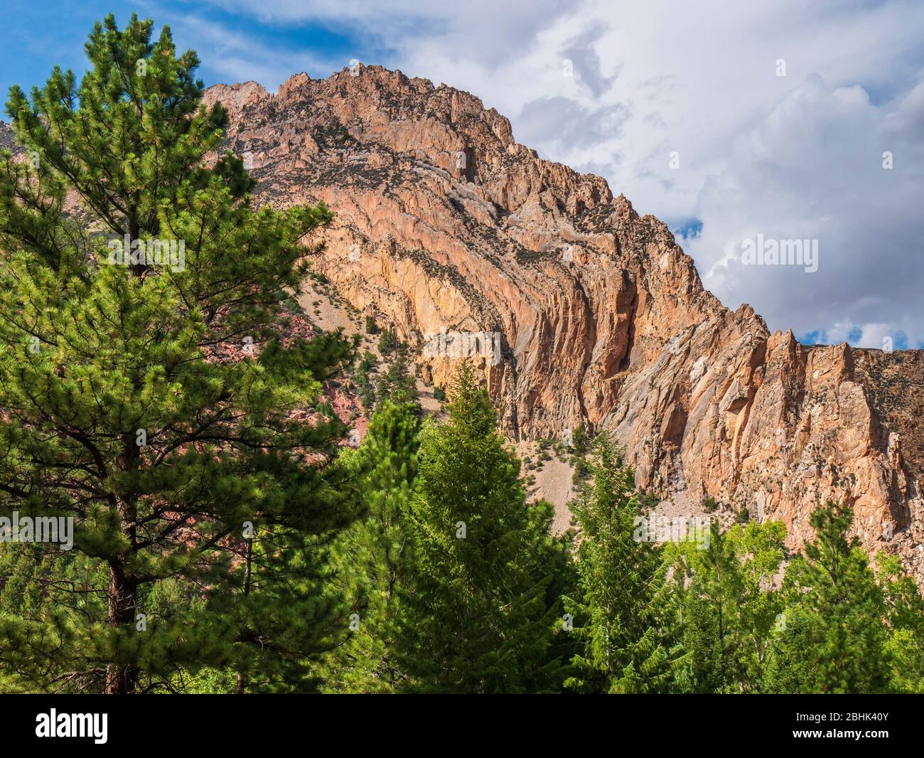 Sheep Creek Canyon Geological Area, Ashley National Forest vicino a Manila, Utah. Foto Stock