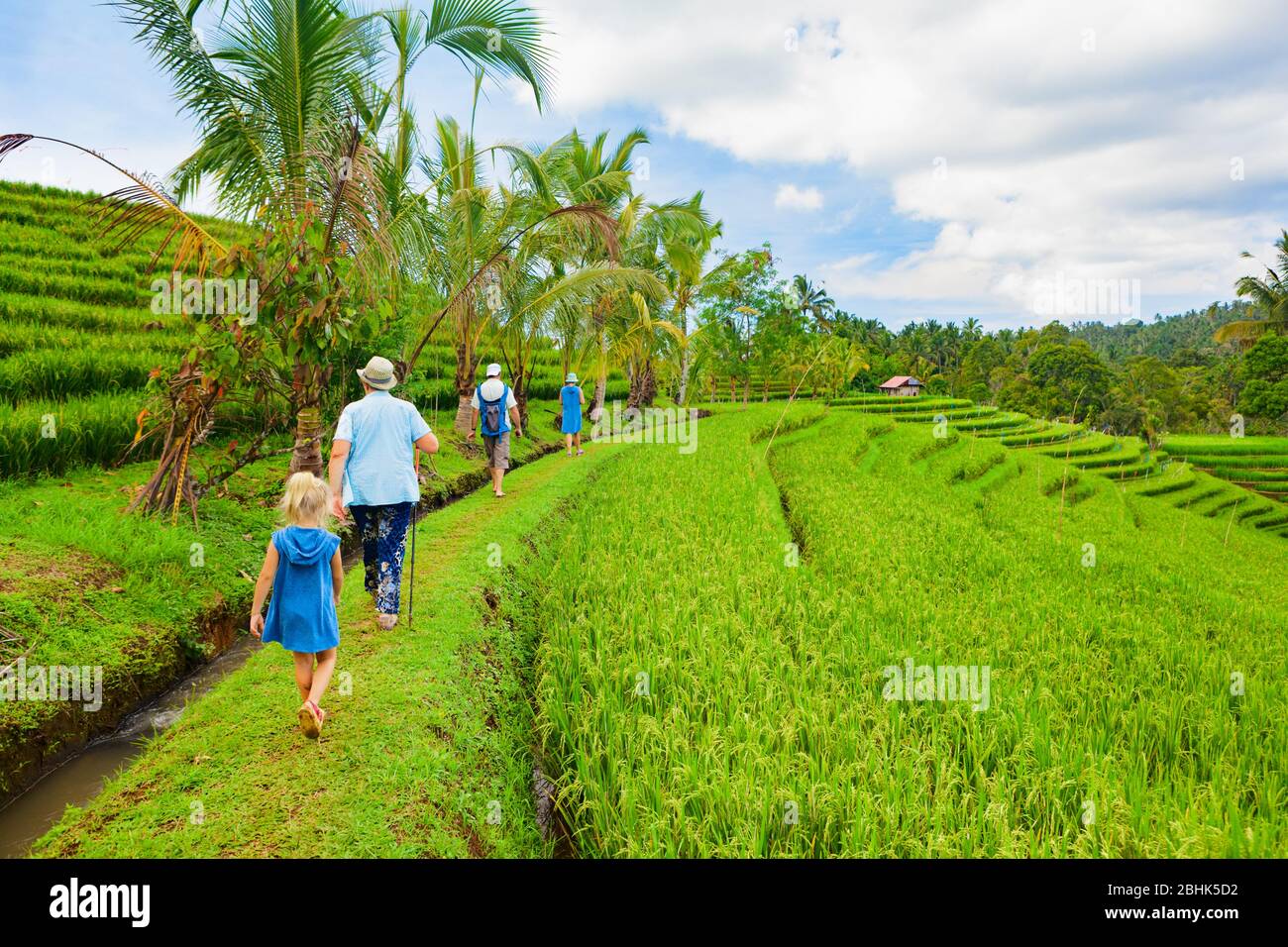 Passeggiata nella natura in verde terrazza riso. Gruppo turistico di pensionati, trekking per bambini su sentiero con splendida vista dei campi tradizionali balinesi. Foto Stock