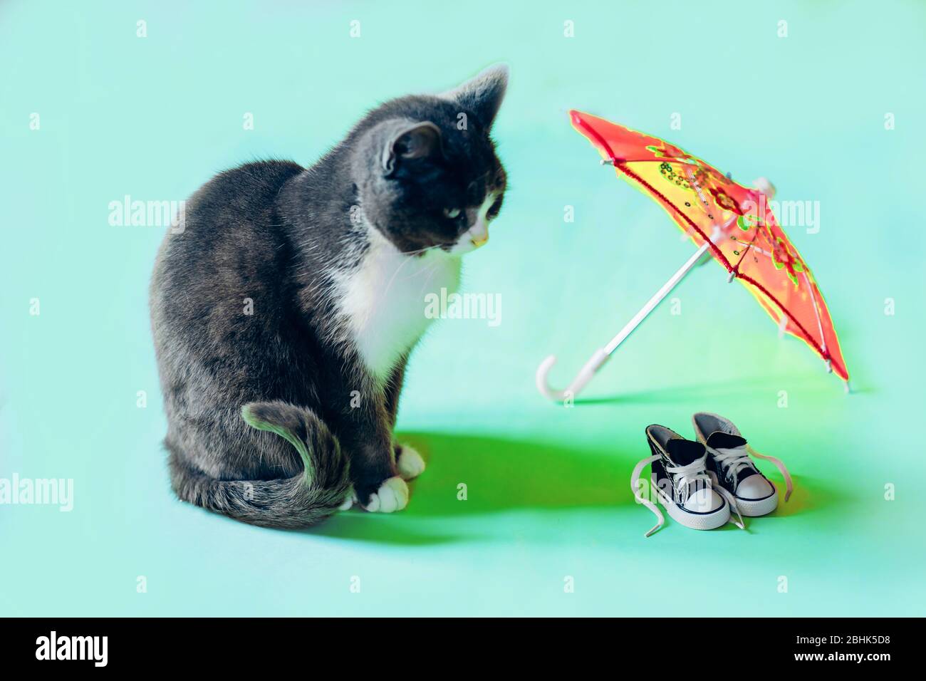 Cute gatto bianco e nero seduto vicino a scarpe da ginnastica e ombrello rosso in miniatura, guardando a lato su sfondo rosa e menta. Animale domestico, concetto dell'animale domestico. Foto Stock