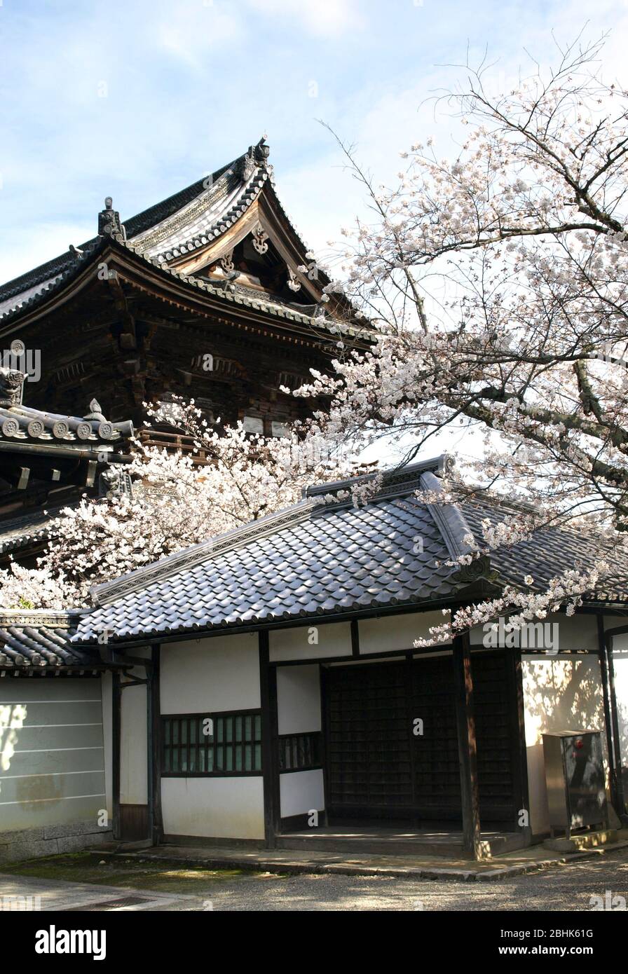 Il bellissimo giardino giapponese di Kyoto ,Giappone Foto Stock