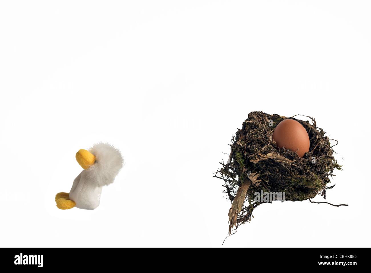 Un pulcino giocattolo soffice che salta da un vero nido di uccelli contenente un uovo di pollo su uno sfondo bianco. Concetto; fuggire dal nido, lasciando casa. Foto Stock