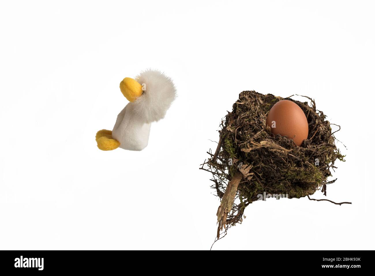 Un pulcino giocattolo soffice che salta da un vero nido di uccelli contenente un uovo di pollo su uno sfondo bianco. Concetto; fuggire dal nido, lasciando casa. Foto Stock