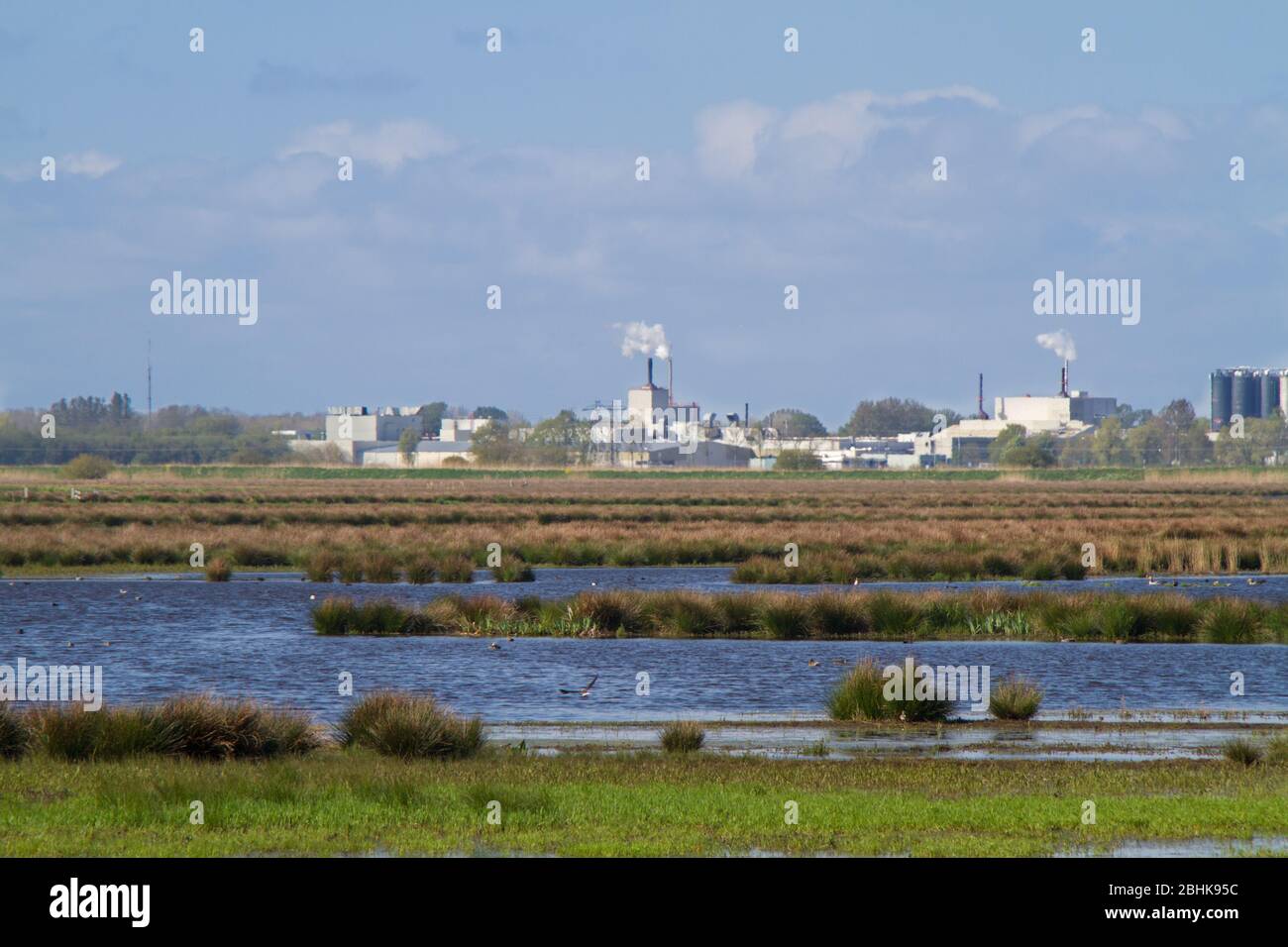 Zone umide nei Paesi Bassi, all'orizzonte edifici industriali che esauriscono il fumo Foto Stock