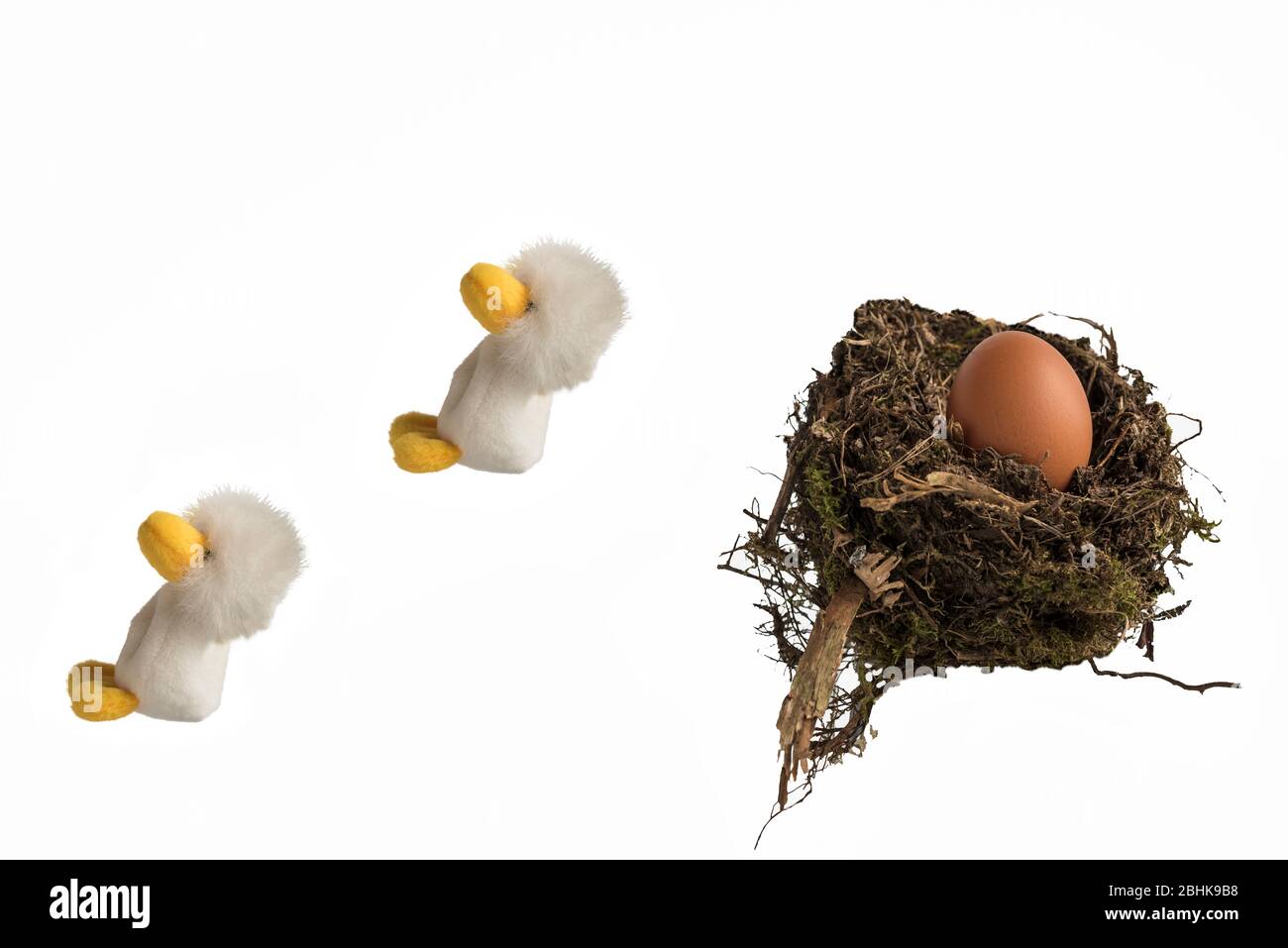 Due pulcini giocattolo lanuginosi che saltano fuori da un vero nido di uccelli contenente un uovo di pollo su uno sfondo bianco. Concetto; fuggire dal nido, lasciando casa. Foto Stock
