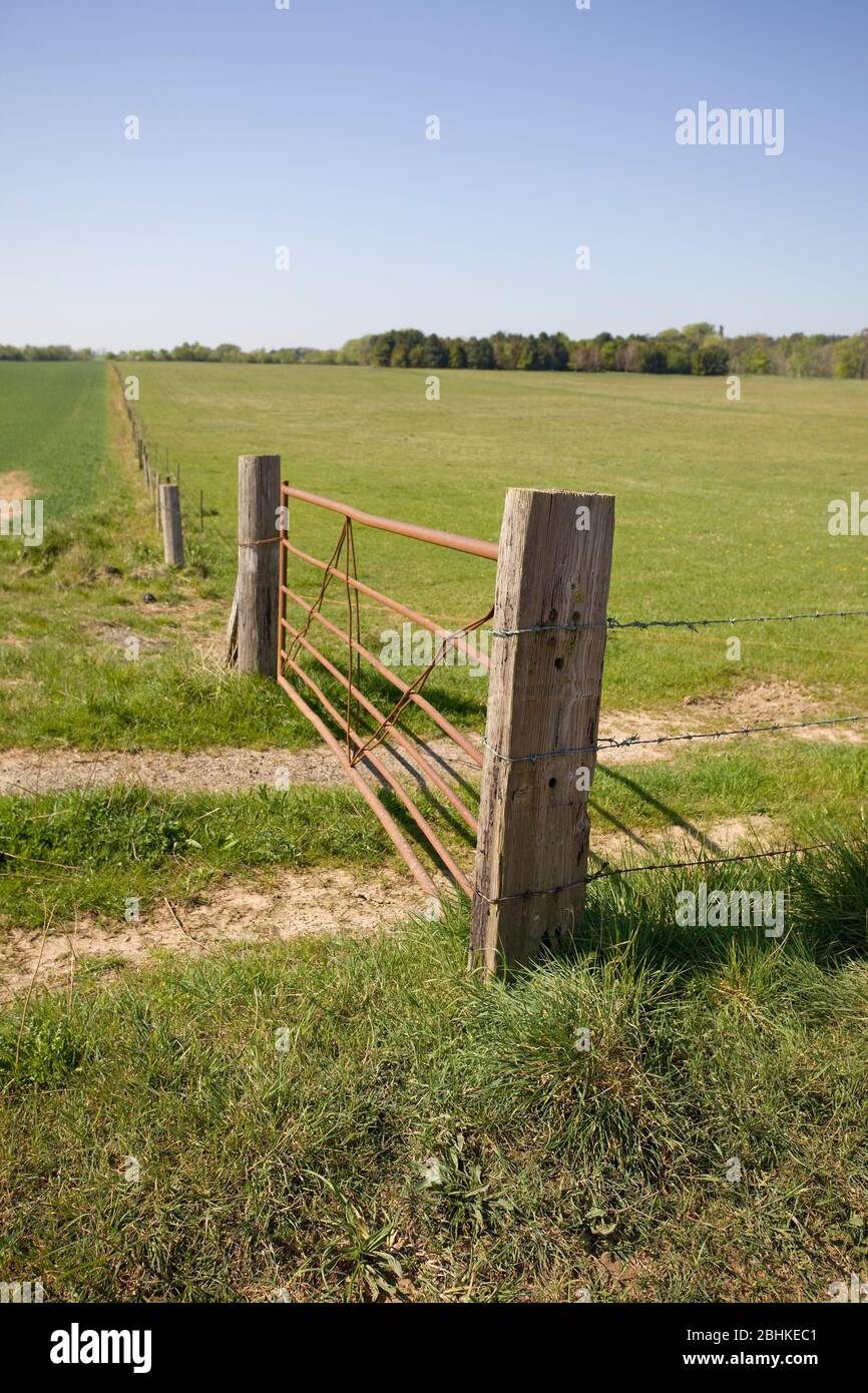 Cancello di metallo chiuso al campo agricolo, Inghilterra Foto Stock