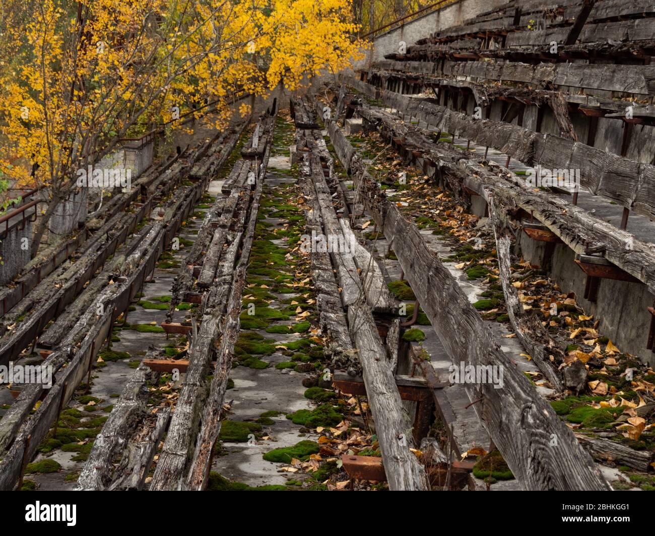 Abbandonata tribuna decadente dello stadio Avangard, presa dalla natura nella città fantasma Pripyat nella zona di esclusione di Chernobyl. Ucraina Foto Stock